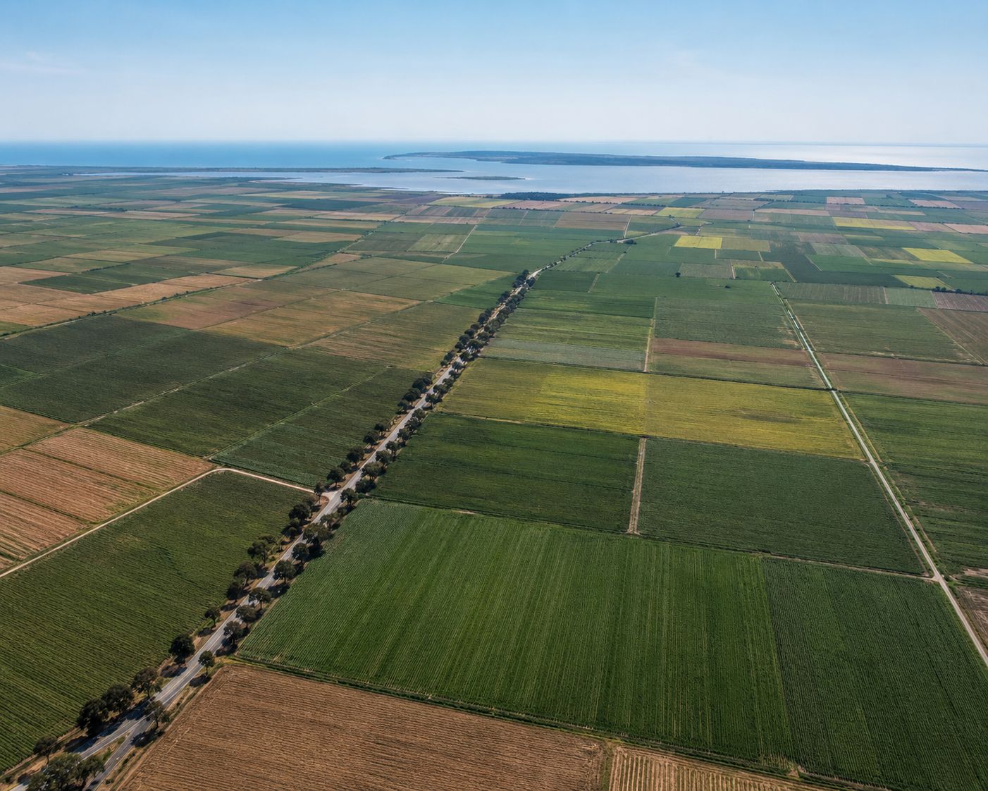 Aerial view of the Myzeqe plain near Divjakë